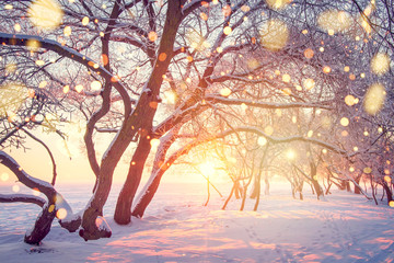 Wall Mural - Christmas holiday background. Winter nature landscape in shining bokeh.