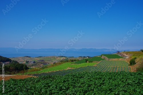 棚畑展望台 ジャガイモ畑と海 南串山町 Adobe Stock でこのストック画像を購入して 類似の画像をさらに検索 Adobe Stock 棚畑展望台 ジャガイモ畑と海 南串山町 Adobe Stock でこのストック画像を購入して 類似の画像をさらに検索 Adobe Stock