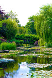 Fototapeta Na sufit - Sea rose lake in Giverny Garden of Monet