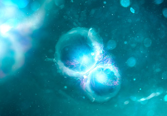 cells through electron microscope (shallow dof)
