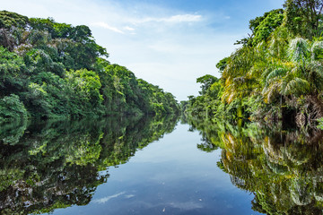 Obraz na płótnie kostaryka las piękny