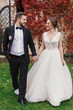 © sonyachny - Gorgeous bride and stylish groom holding hands and walking at wall of autumn red leaves. Happy Sensual wedding couple smiling. Romantic moments of newlyweds. Wedding photo