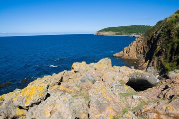 Poster - Sheer cliffs of the northern coast of Bornholm island, Denmark. Hammerhavn harbor in the background