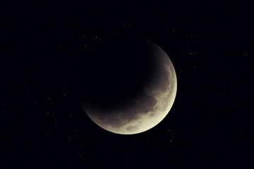 Wall Mural - moon
