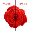 Example of vector and raster comparison, difference between formats