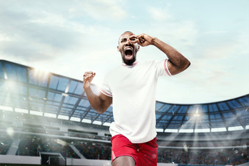 Wall Mural - The football player in motion on the field of stadium