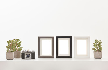 Three frame close up, camera vase of plant on the white floor and white background.