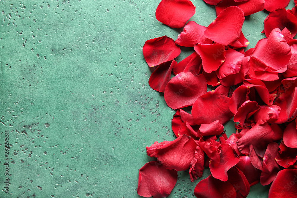 Red rose petals on color background