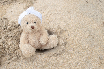 Wall Mural - Bear wear towel on head is sitting alone at the sandy beach 