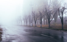 Autumn Foggy Morning In The City