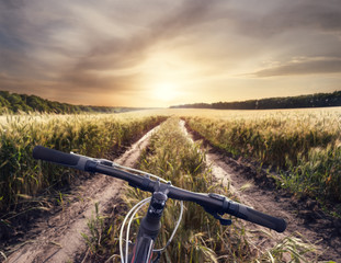 Wall Mural - bicycle handlebar on the background of a country road with spike