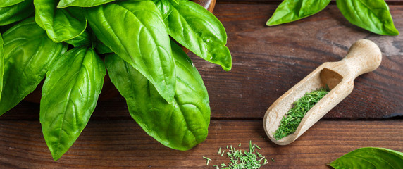 Wall Mural - Fresh basil on a wooden background. Green basil.  Food background. A lot of basil. Long banner