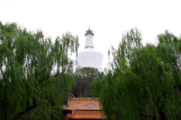 White pagoda architectural landscape in the Beihai Park，Beijing, China