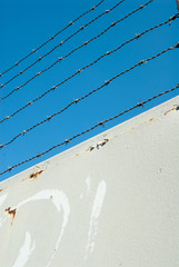 barbed wire on a metal gate with blue sky