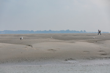 Wall Mural - Dune de la baie de somme 2