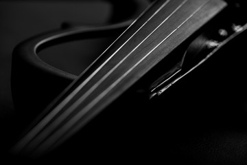 Wall Mural - electronic violin on a black background 