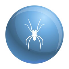 Poster - Spider icon. Simple illustration of spider vector icon for web design isolated on white background