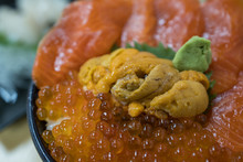Fresh Salmon And Sea Urchin Rice Bowl
