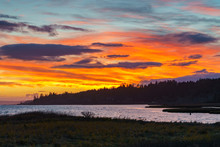 Sunset At Lynch Cove Wetlands Washington State