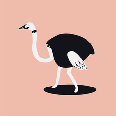 Sticker - Cute wild common ostrich cartoon illustration