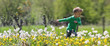 © MEDIAIMAG - Little kid running in dandelions