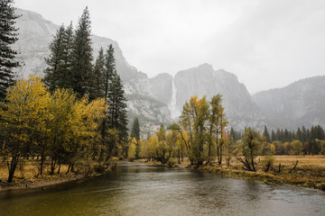 Wall Mural - river in autumn forest and mountains