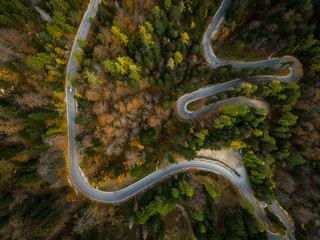 Wall Mural - Winding road in mountains, fall woodlands, drone view from above