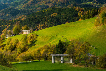 Wall Mural - Beautiful and vibrant green countryside in Slovenia