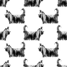 Seamless Pattern With Hand Drawn Yorkshire Terriers