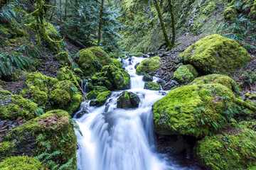 Cascading Waterfalls and stream, moss covered rocks. Iconic Oregon image, Pacific Northwest