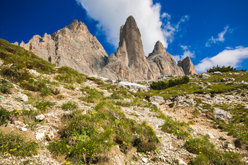 Wall Mural - Panorama estivo delle dolomiti italiane