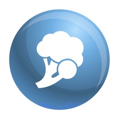 Poster - Fresh broccoli icon. Simple illustration of fresh broccoli vector icon for web design isolated on white background