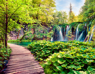 splendid morning view of plitvice national park. colorful spring scene of green forest with pure wat