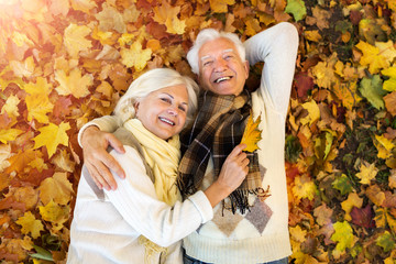 Poster - senior couple in autumn park