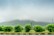 Bushes and road in front of fog covered hills and low lying clouds on the jaipur delhi highway. This is a popular monsoon drive for the people of the national capital region