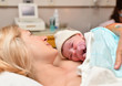 © o1559kip - Mom and newborn baby skin to the skin after birth in the hospital
