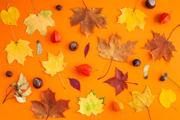 Wall Mural - Dry autumn leaves as a frame template