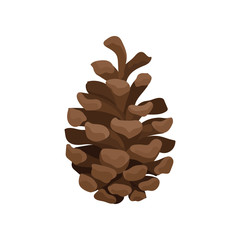 Wall Mural - Brown pine cone. Woody fruit of conifer tree. Nature and botany theme. Flat vector element for Christmas postcard