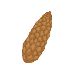 Wall Mural - Brown fir cone. Conical fruit of conifer tree. Nature theme. Flat vector element for Christmas postcard or poster