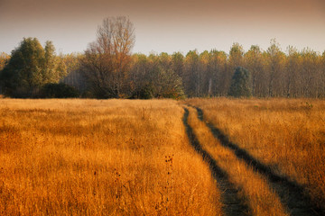 Sticker - Country Road in Autumn 