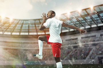 Wall Mural - The football player in motion on the field of stadium