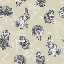 Seamless Pattern Of Highly Detailed Hand Drawn Squirrel, Owl, Hamster And Hedgehog On Light Pink Background. Forest Small Animals Vector Design