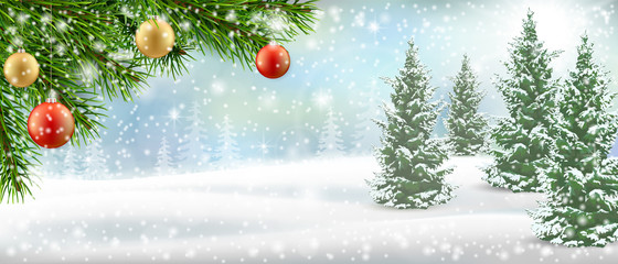 Christmas tree branch on winter landscape background. Background for a Christmas card.