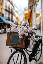 Vintage Bicycle With Flower