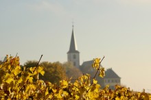 Church In Autumn, Landscape With Grape Field