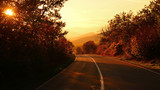 Fototapeta Zachód słońca - The road in the countryside in autumn at sunset in gold tones