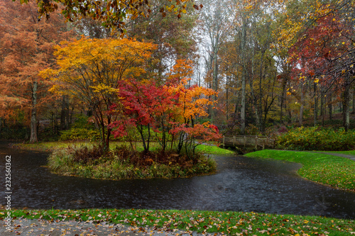Vibrant Yellow Orange And Red Maple Trees On An Island In Gibbs Gardens Georgia In The Rain Buy This Stock Photo And Explore Similar Images At Adobe Stock Adobe Stock,Checkers Game Transparent