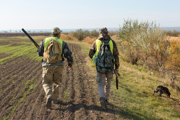 Wall Mural - Hunters with a german drathaar and spaniel, pigeon hunting with dogs in reflective vests	