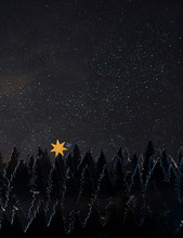 Pine Tree Forest By Night Made Of Paper With The Starry Night