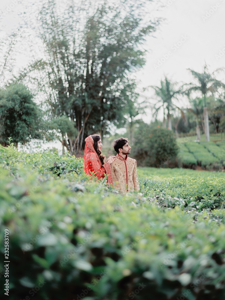 A portrait of an indian newly married wearing traditional wedding ...
